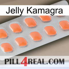 Jelly Kamagra 26